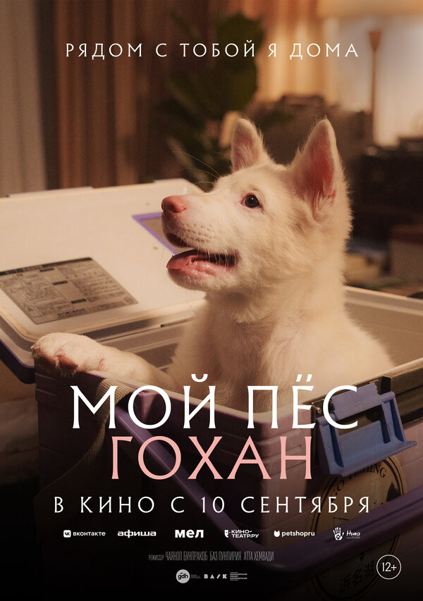 Мой пёс Гохан сериал 2026 смотреть онлайн бесплатно в хорошем качестве HD